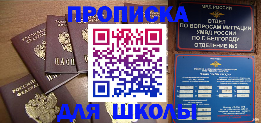прописка гарантия в Луге
